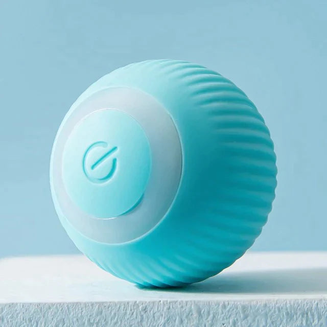 MeowMotion® - nutipall kassidele ja koertele